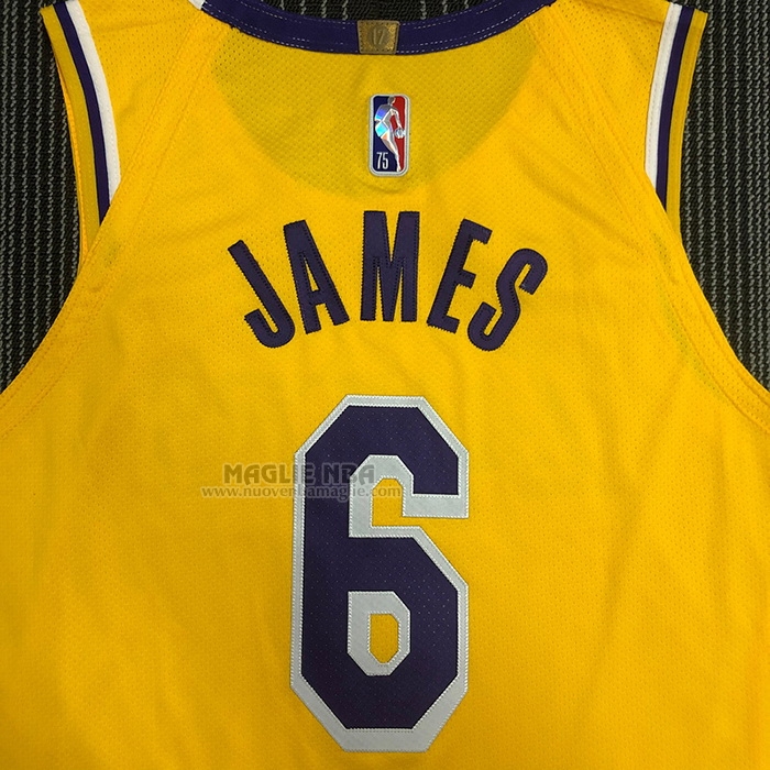 Maglia
 LeBron James NO 6 Los Angeles Lakers Icon Autentico
 Giallo
